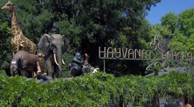 Türkiye’deki Hayvanat Bahçeleri