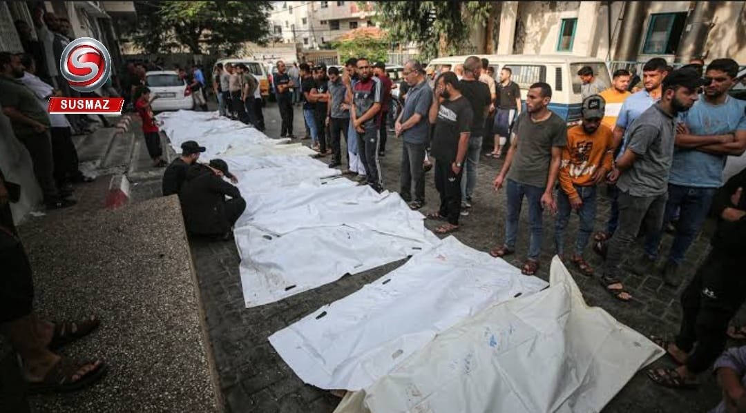 “Gazze Sağlık Bakanlığı Genel Müdürü: Sokak Hayvanları Gazze’deki Şehitlerin Naaşlarını Yiyor”