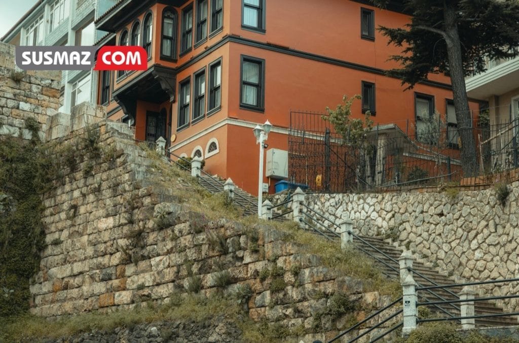 Kütüphanenin Gizemli Kitabı