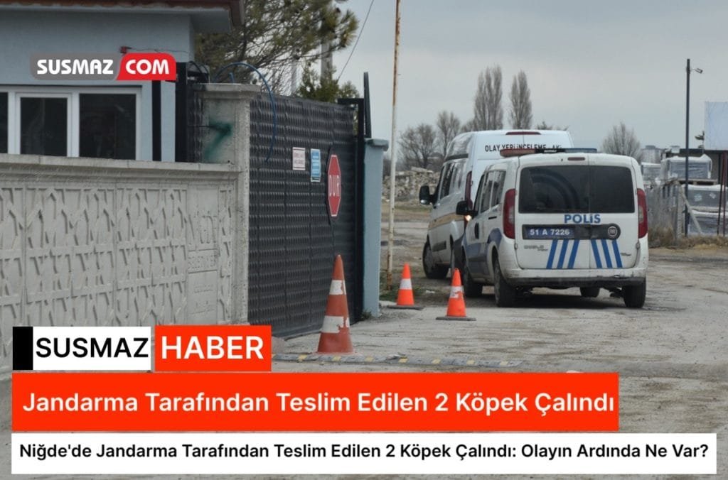 “Niğde’de Jandarma Tarafından Kurtarılan Köpekler Çalındı: Yasa Dışı Dövüş Operasyonunun Ardından Hayvan Barınağından Hırsızlık Şoku”