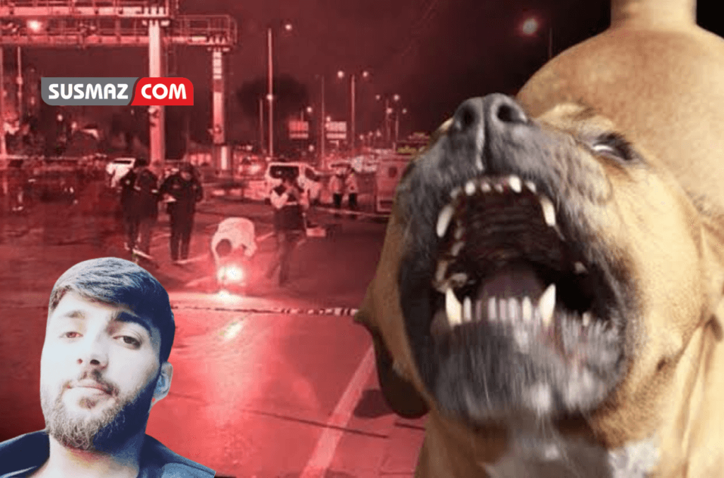 “Fatih’te Polis Memuru ve Gençler Arasındaki Kavgada Kanlı Son: Pitbull Saldırısında Ölüm!”