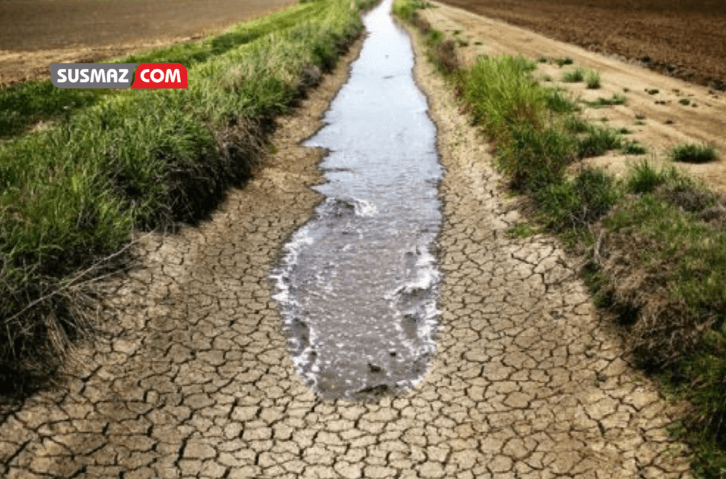 Gıda Güvencesi ve Su Kaynaklarının Geleceği: Tarımın Zorlu Yolculuğu