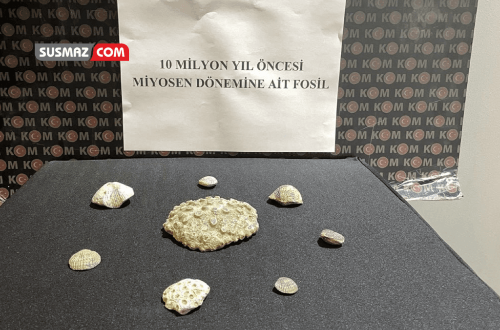 “Kayseri’de Evde Bulunan 10 Milyon Yıllık Fosillerle İlgili Şüpheli Gözaltına Alındı”