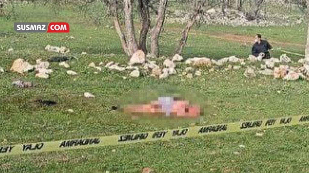 “Antalya’da Başıboş Köpek Dehşeti: 85 Yaşındaki Kadın Feci Şekilde Hayatını Kaybetti”