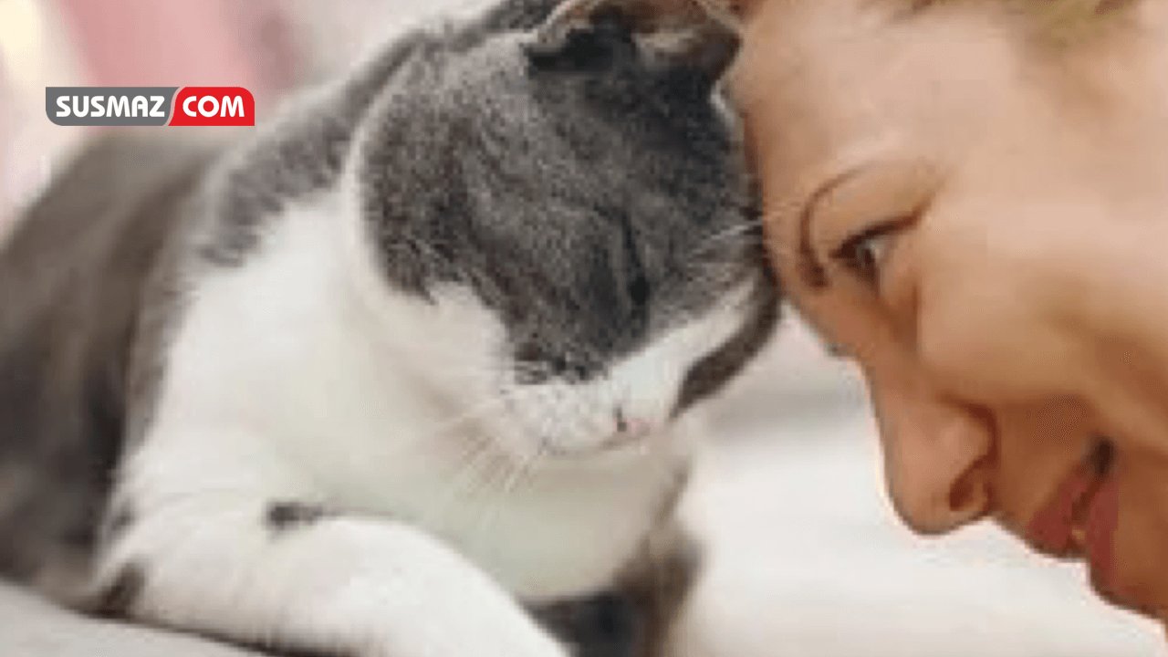 “Evcil Hayvanlar ve İnsan Sağlığı: Sorumluluklar, Riskler ve Önlemler”