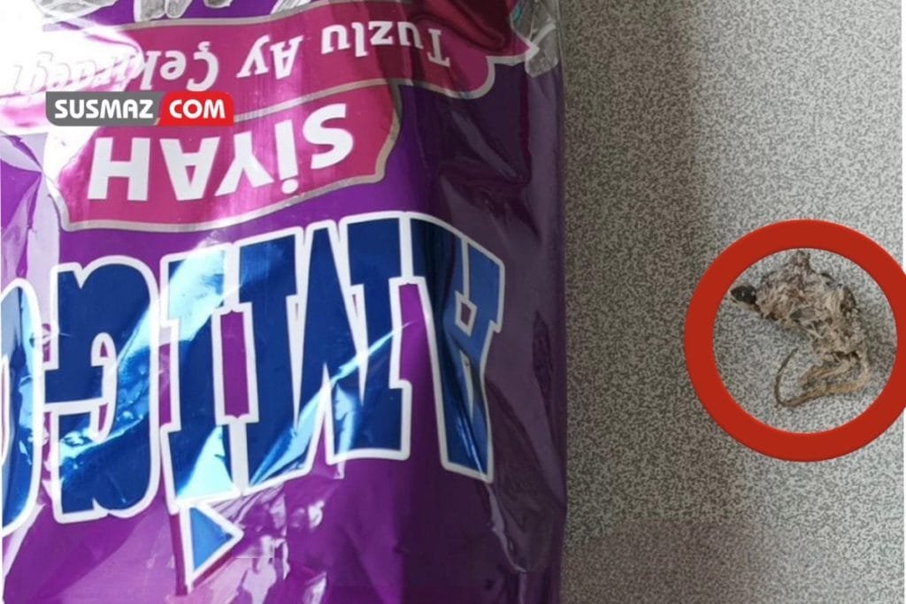 ŞOK Marketten Alınan Çekirdeğin İçinden Kavrulmuş Fare Çıktı İddiası