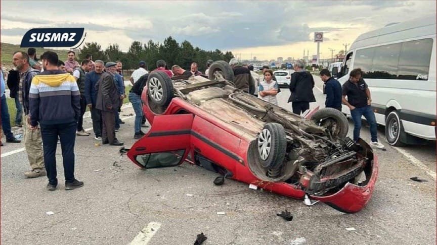Türkiye’de Başıboş Köpekler Trafik Kazalarına Neden Oluyor: Son 5 Yılda 3 Binden Fazla Kaza, 67 Ölü, 5 Bin 200 Yaralı