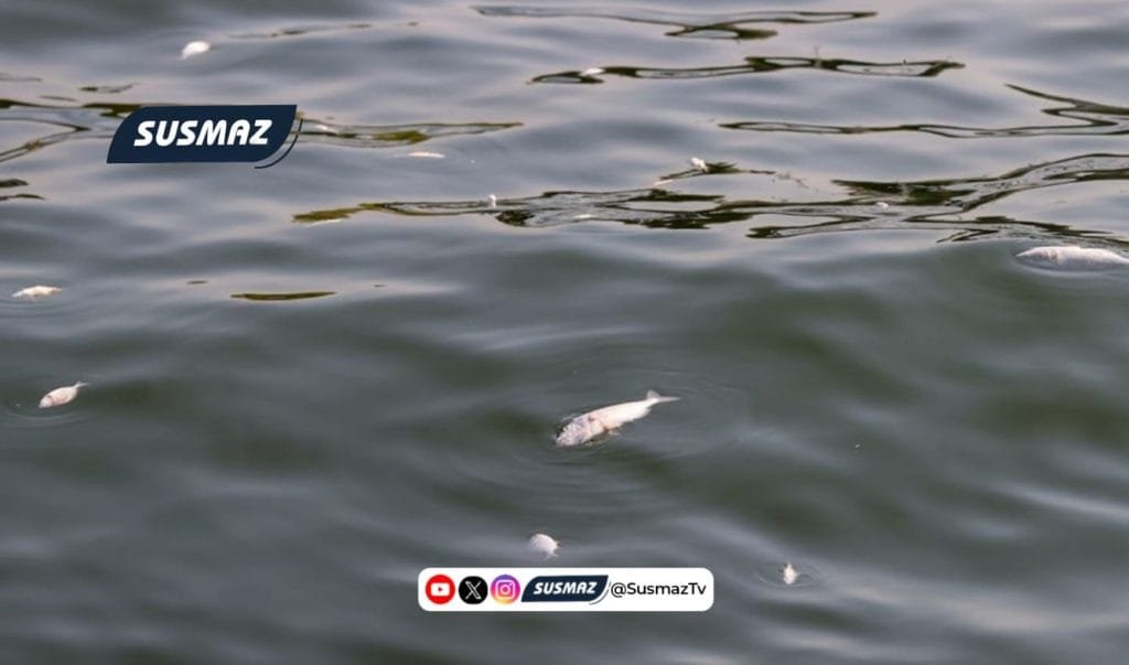 İzmir Körfezi’nde Kirlilik Krizi: İzmir Büyükşehir Belediyesi’ne 1.8 Milyon TL Ceza!