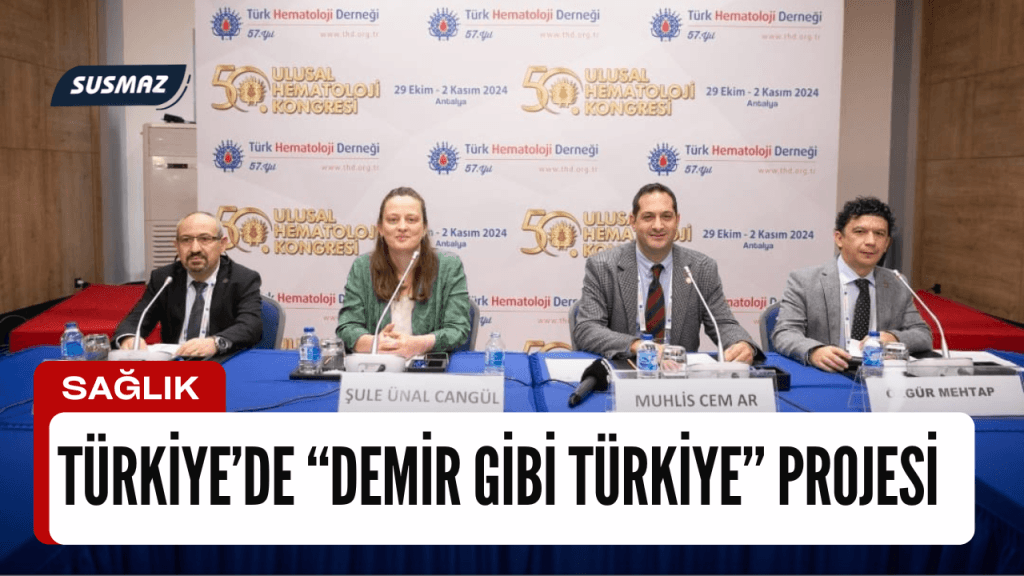 Türkiye’de “Demir Gibi Türkiye” projesi.