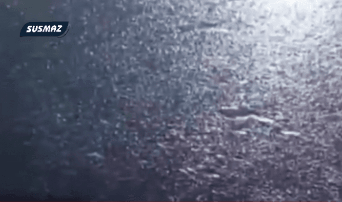 Her Yer Mazot İçinde: Rusya Karadeniz’de Çevre Felaketi Yarattı