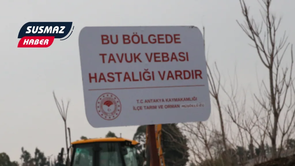 Hatay’da Kuş Gribi Alarmı! O Mahalleye Karantina, Tavuk Tüketimine Dikkat!