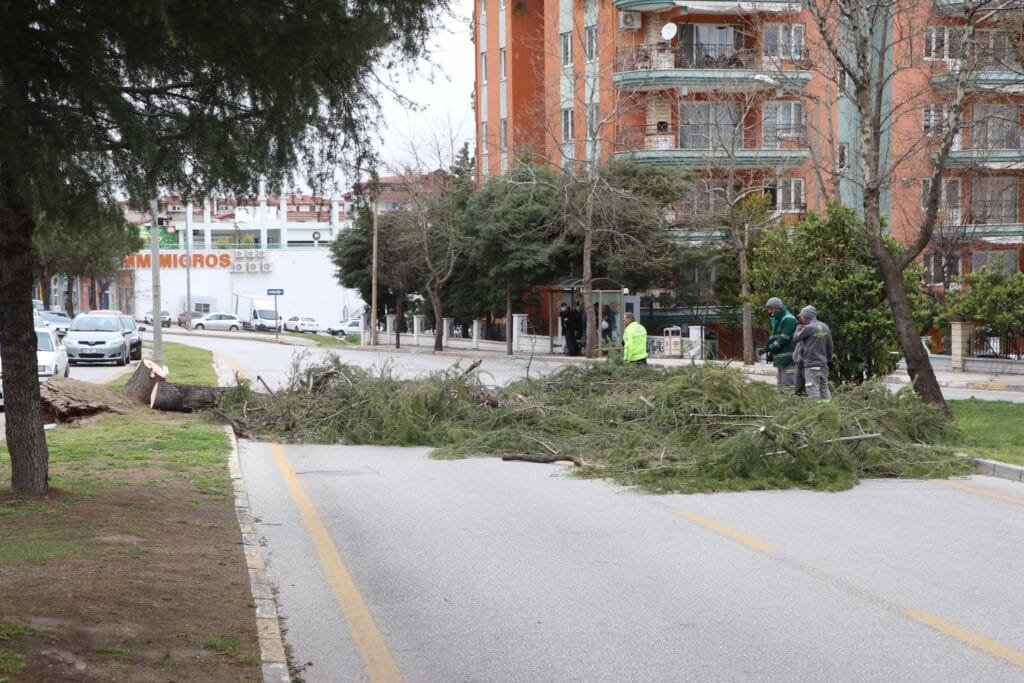 Denizli’de fırtına kabusu! Ağaçlar devrildi, çatılar uçtu