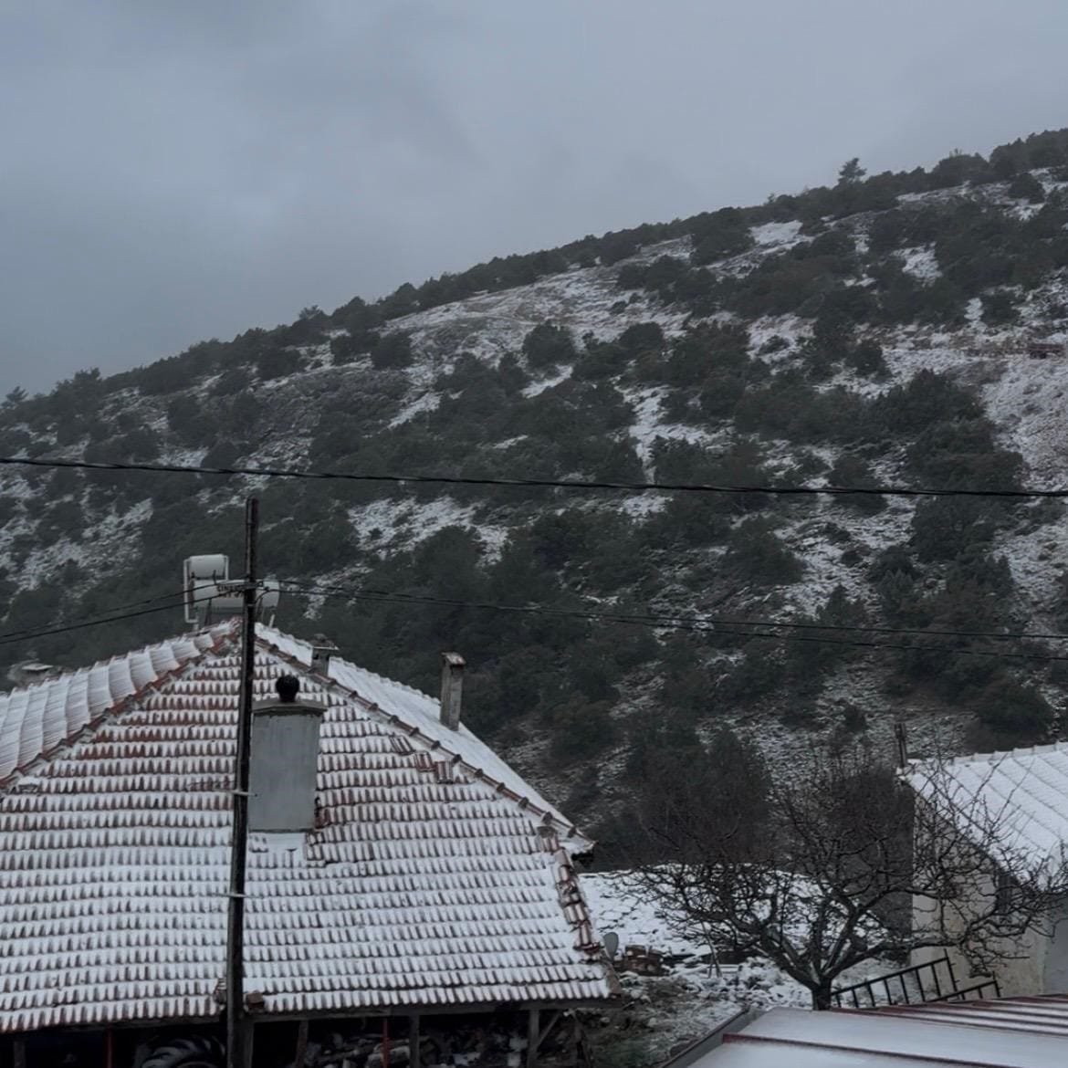İzmir’e bayram sürprizi! Yüksek kesimler beyaza büründü