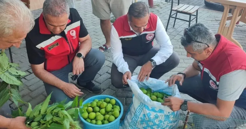 Aydın incirinde kritik dönem! İl müdürü temiz ilek pazarında üreticilerle buluştu