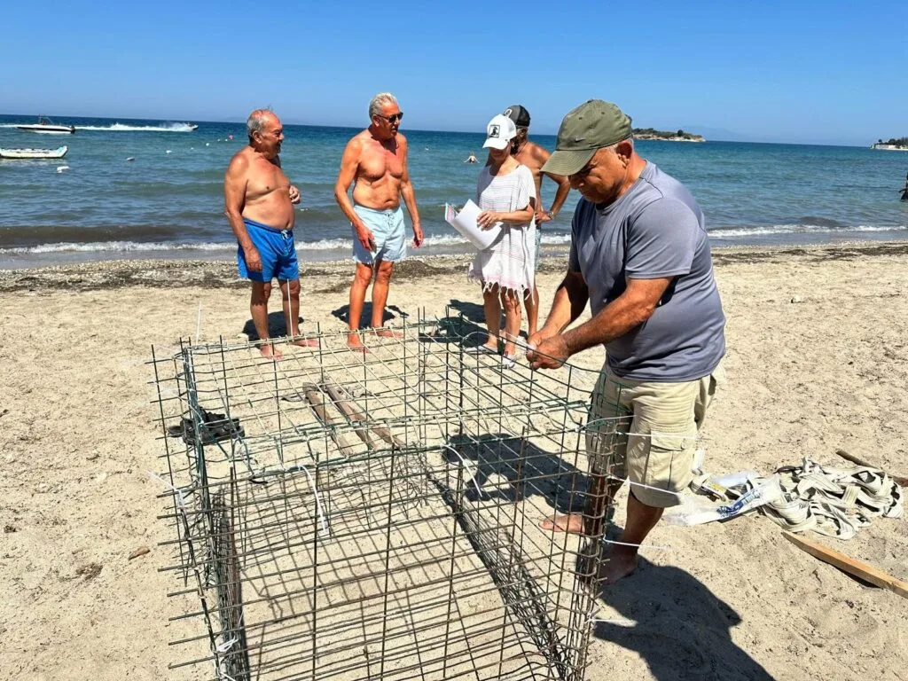 Aydın’da sevindiren caretta caretta haberi! Didim’de ikinci yuva bulundu