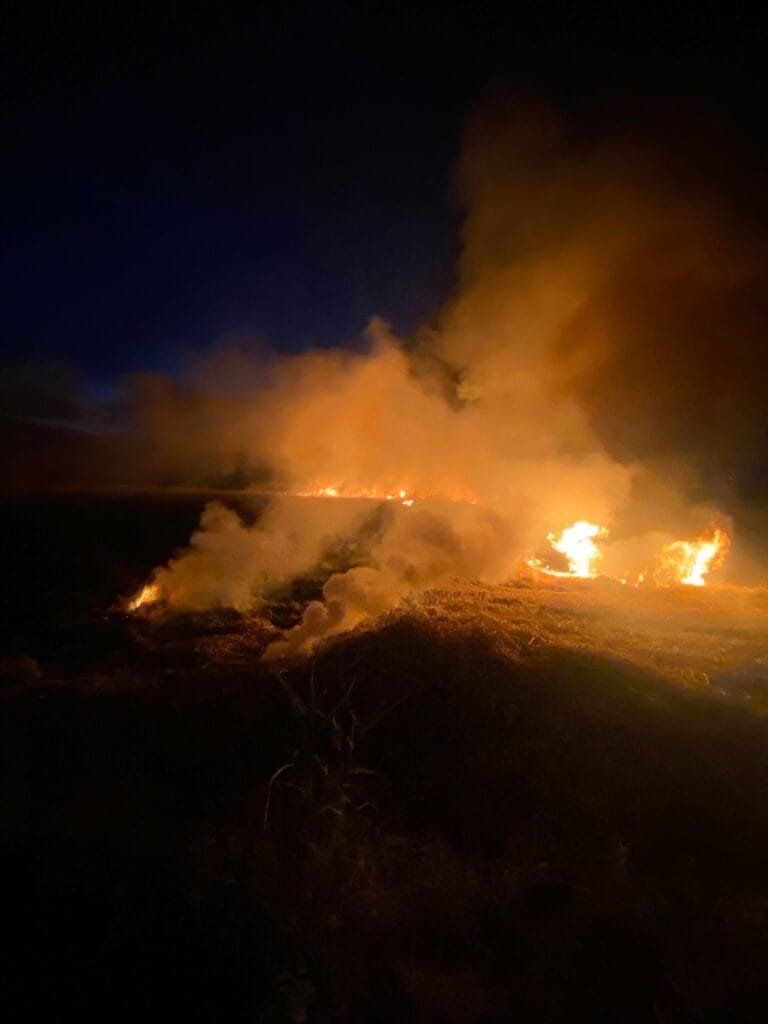 Söke’de gece yarısı anız yangını! İtfaiye ekipleri alevleri söndürdü