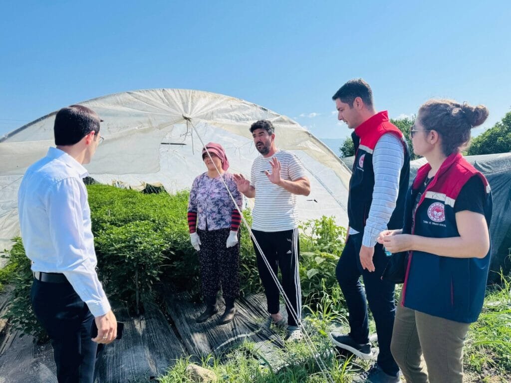 Bozdoğan’da örtü altı üretime yerinde inceleme