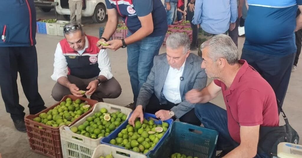 Buharkent ilek pazarında kalite ve sağlık denetimi
