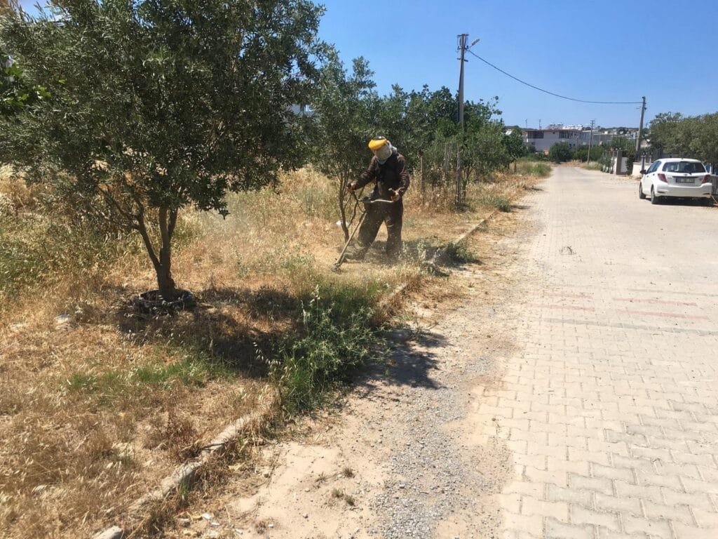 Didim’de Yeşil Alanlara Yaz Bakımı