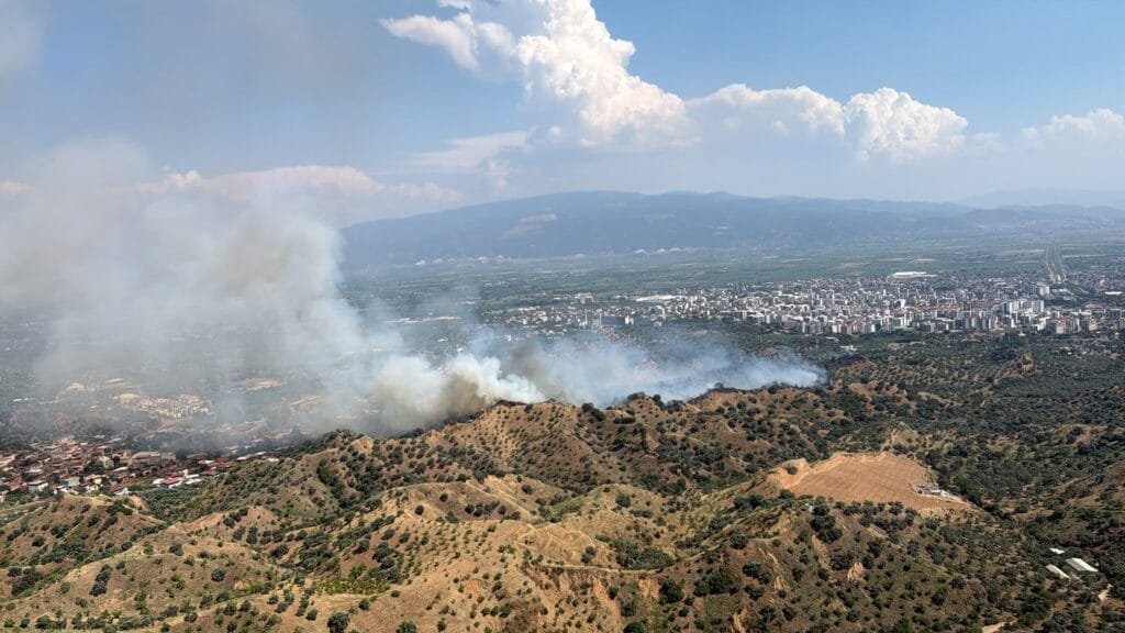 Nazilli’de Zeytinlik Alanda Yangın: Havadan ve Karadan Müdahale Sürüyor