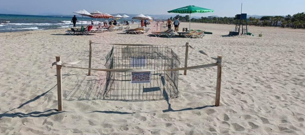 Kuşadası’nda caretta caretta yuvası koruma altına alındı
