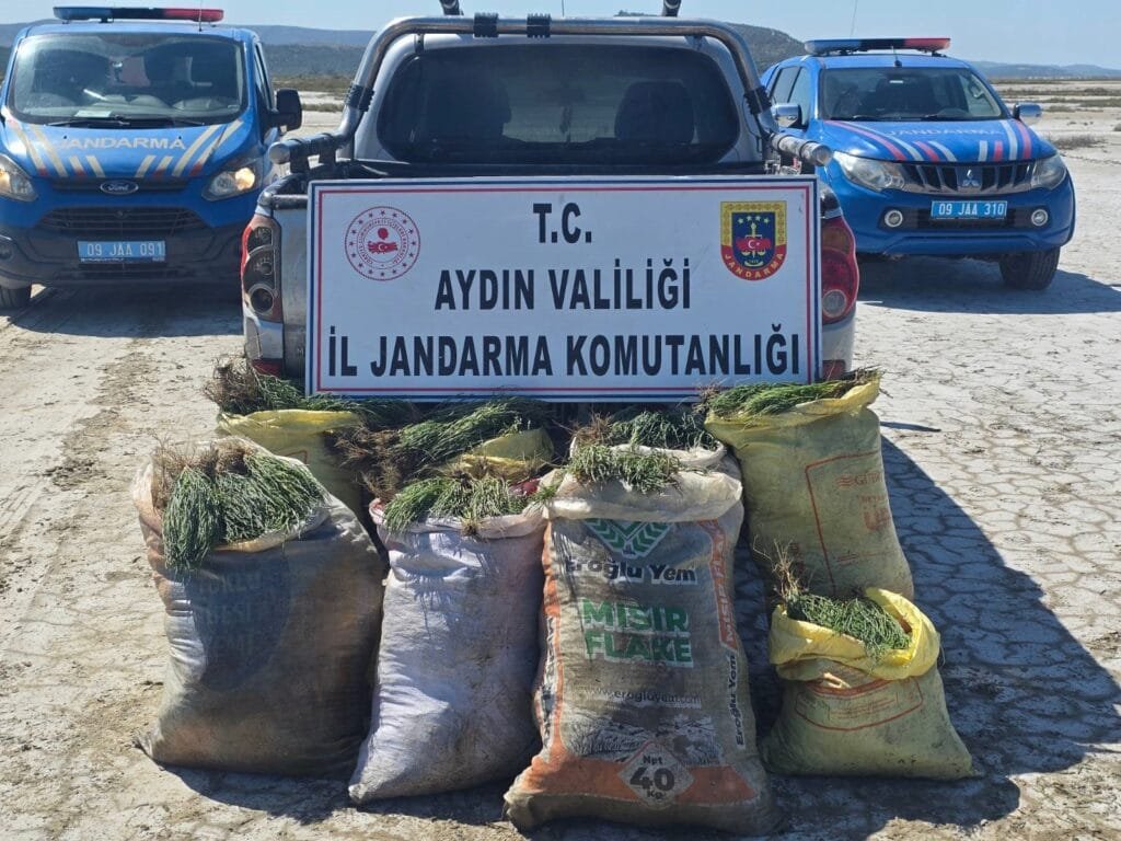 Aydın’da doğal koruma alanlarında kaçak toplama operasyonu