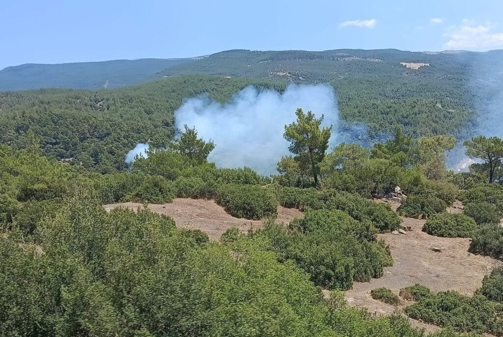 Çine’de orman yangını! Kavşit Mahallesi’nde müdahale sürüyor