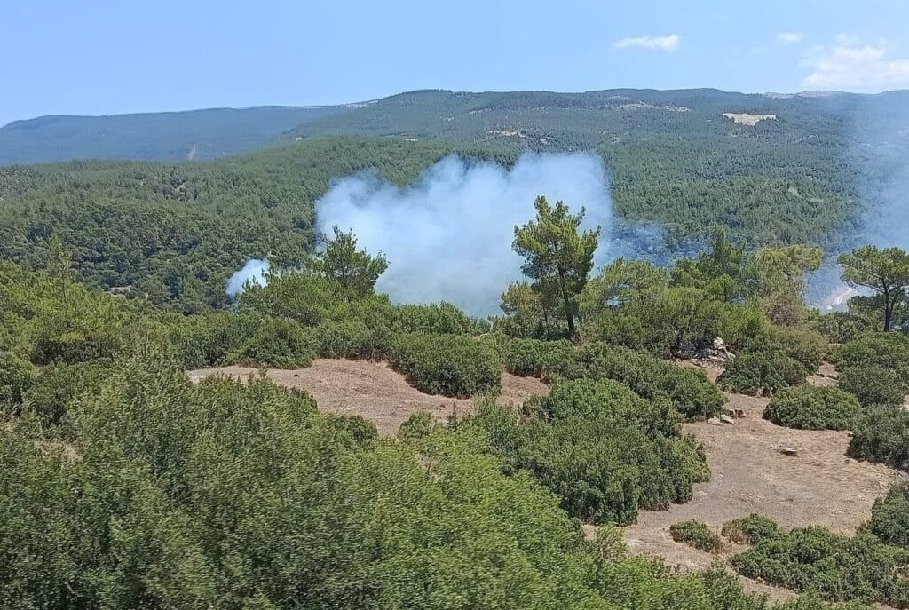 Aydın’da 3 gün boyunca yangın riski kritik! Valilikten peş peşe uyarılar