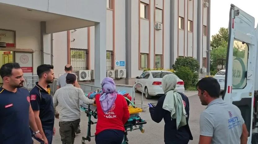 Kamyonet devrildi! 6 kişi yaralandı