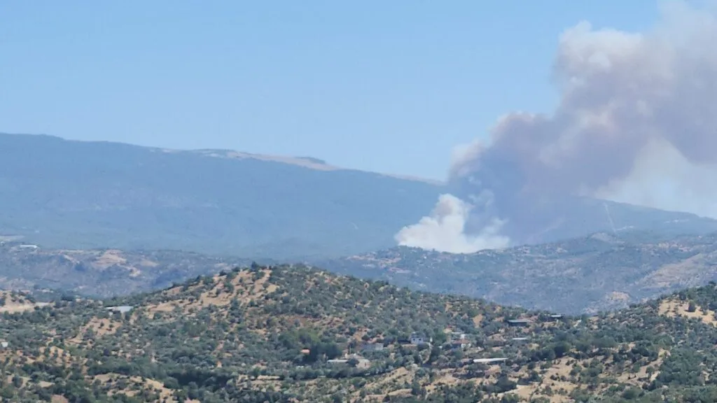 Çine’de orman yangını: Havadan ve karadan müdahale