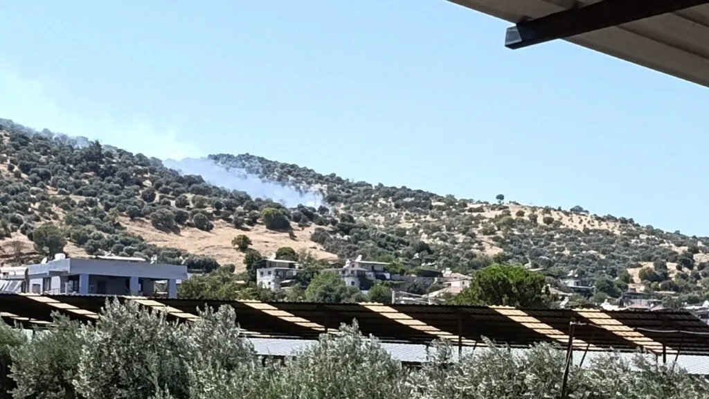 Bozdoğan’da zirai alan alevlere teslim oldu