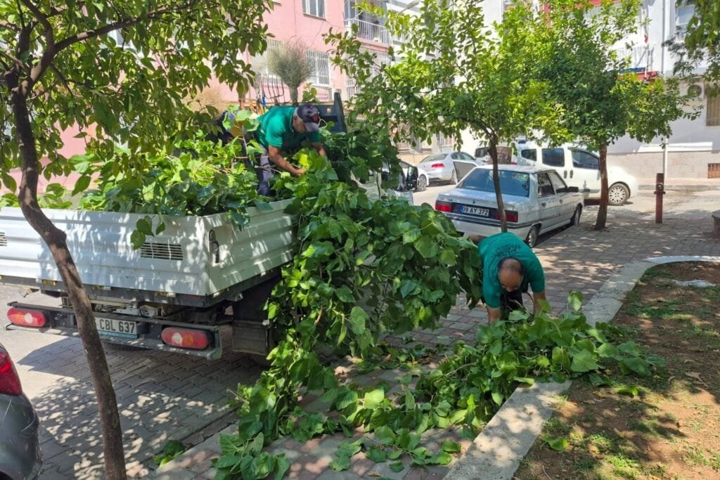 Efeler’de Üç Mahallede Parklar Yenilendi: Temizlikten Budamaya Kapsamlı Bakım